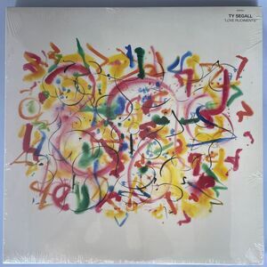 Ty Segall fro FUZZ Love Rudiments NEW Vinyl Record, LP, Drag City, 2024